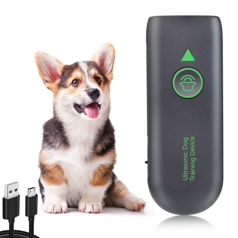 Anti Dog Barking Devices Which One Is Best Uk