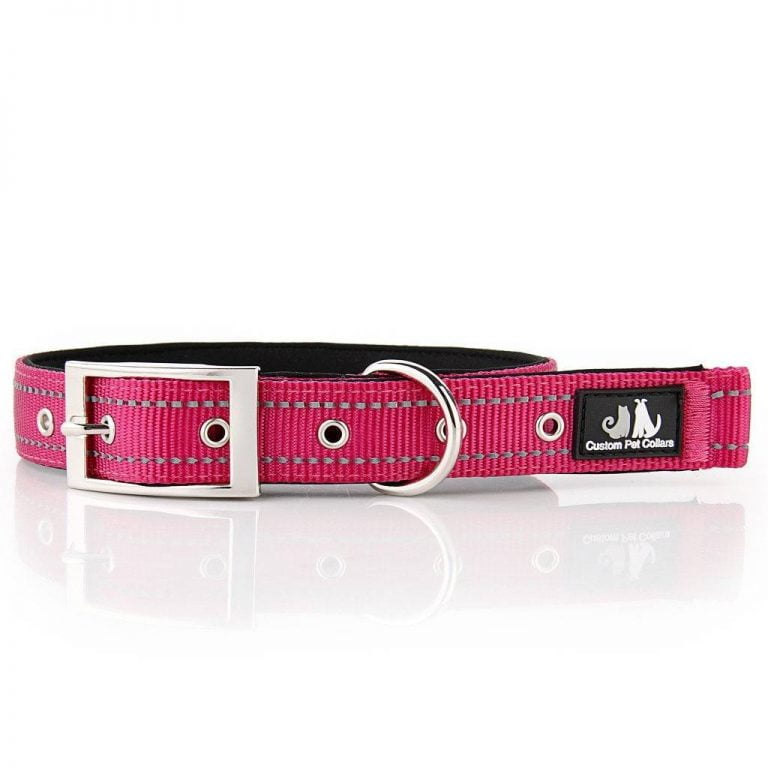 Personalised Dog Accessories