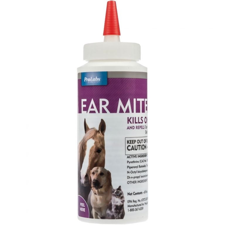 Treatment For Dog Mites