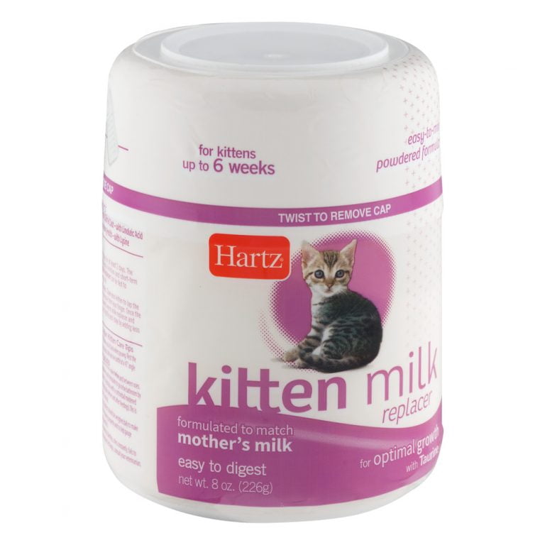 Newborn Kitten Milk