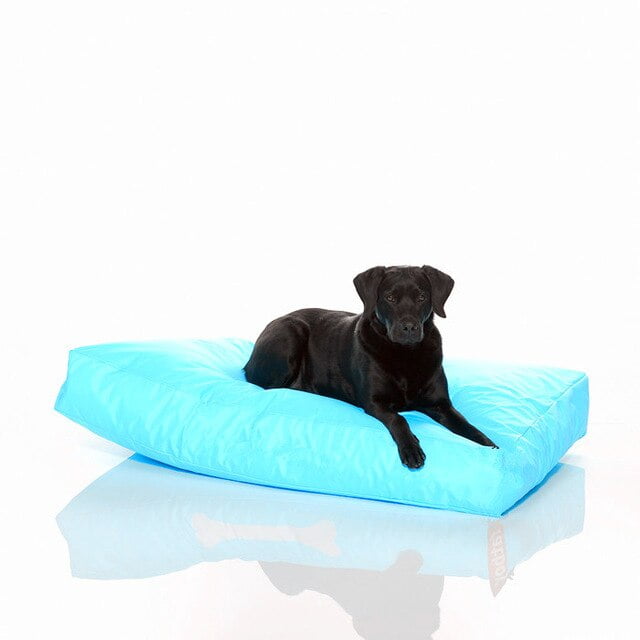 Teal Dog Bed