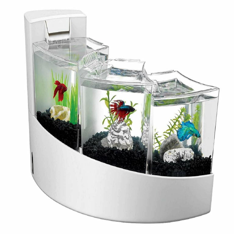Marina Fish Tank
