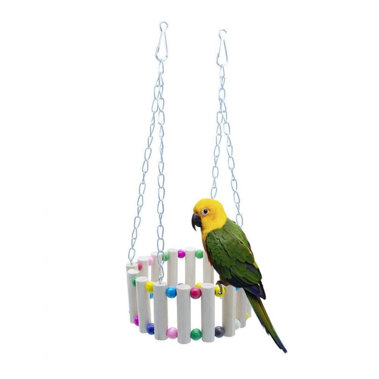 Parrot Accessories