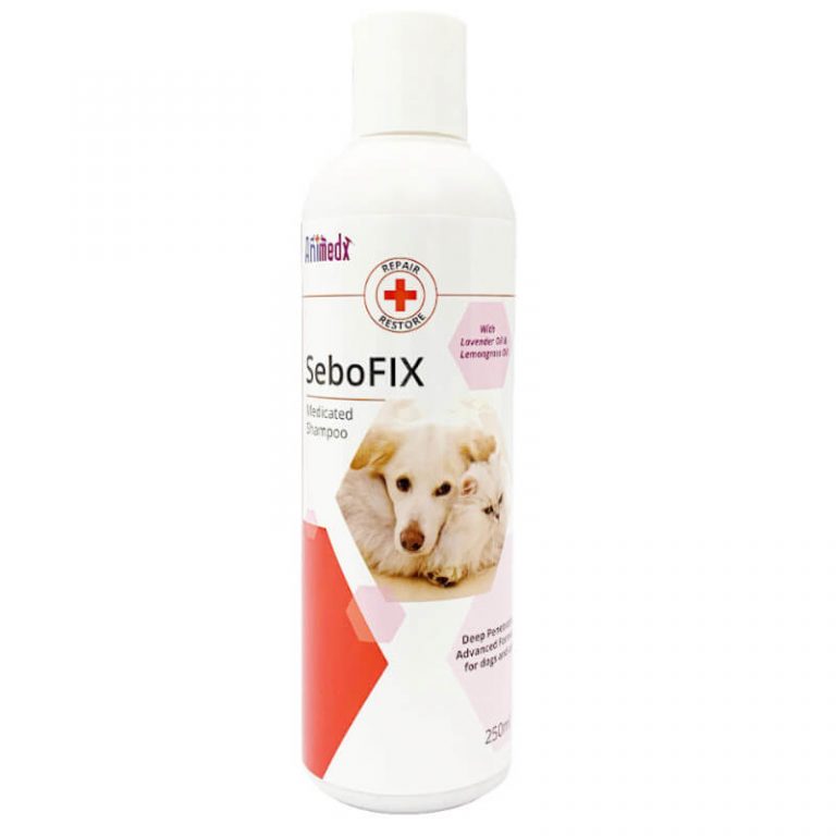 Coatex Medicated Dog Shampoo