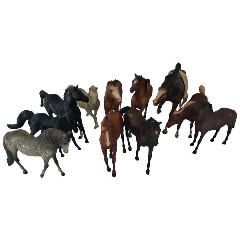 15 Hand Horses For Sale