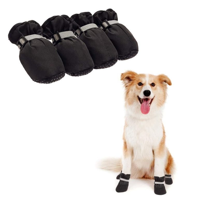 Boot Protector Dog