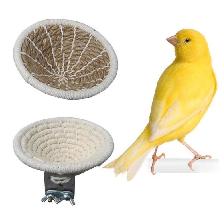 Canary Vs Nest