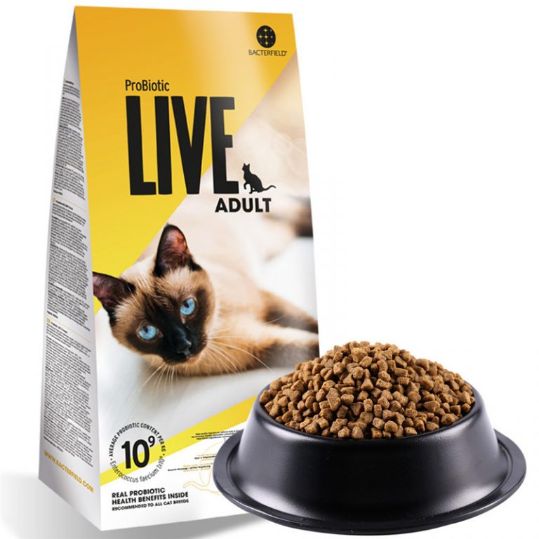 High Protein Cat Food Uk