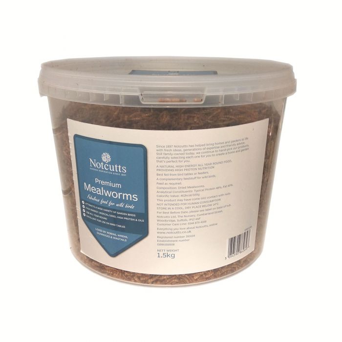 Mealworms Uk
