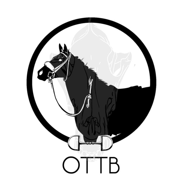 Ottb Horse