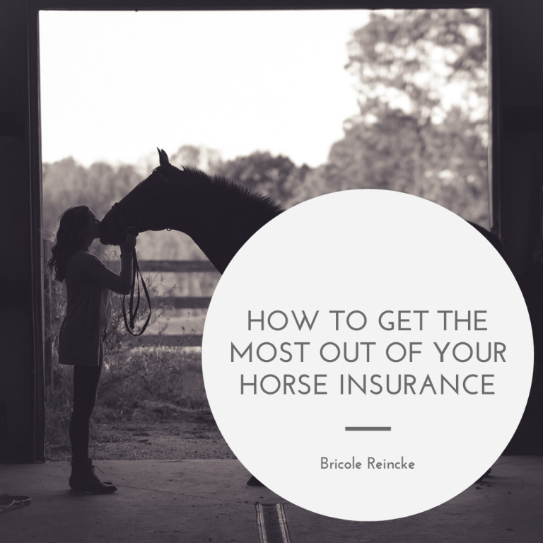 Petplan Horse Insurance