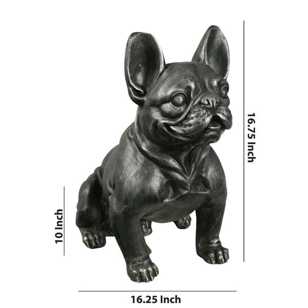 Adult French Bulldog For Sale