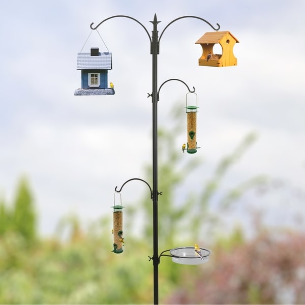 Bird Feeding Stations And Accessories