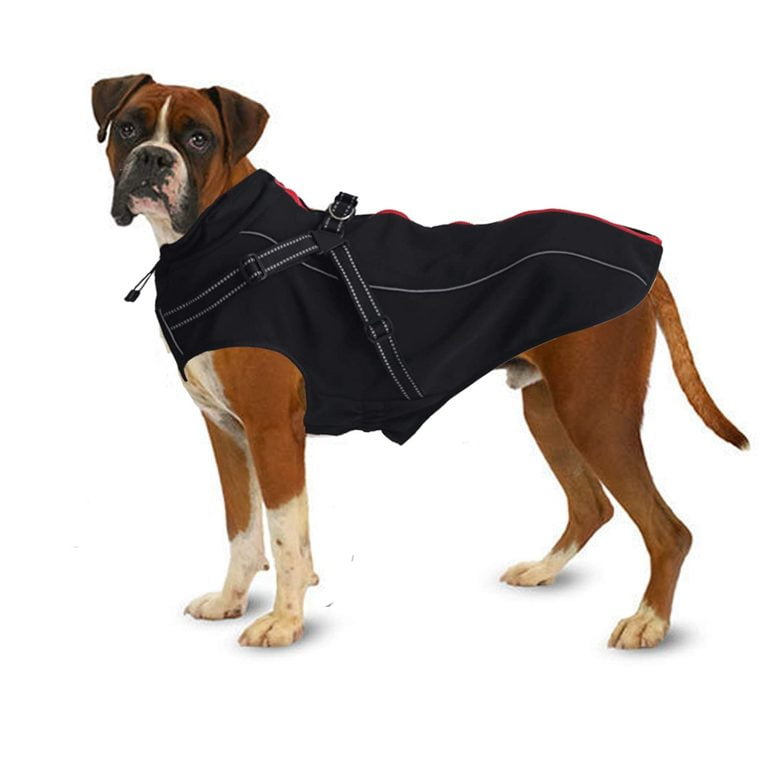 Boxer Dog Coats
