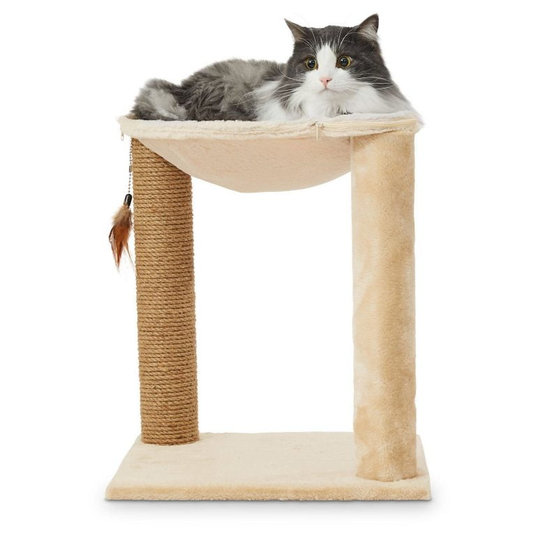 Cat Bed And Scratching Post