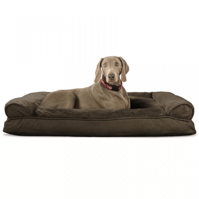 Extra Large Dog Beds Clearance