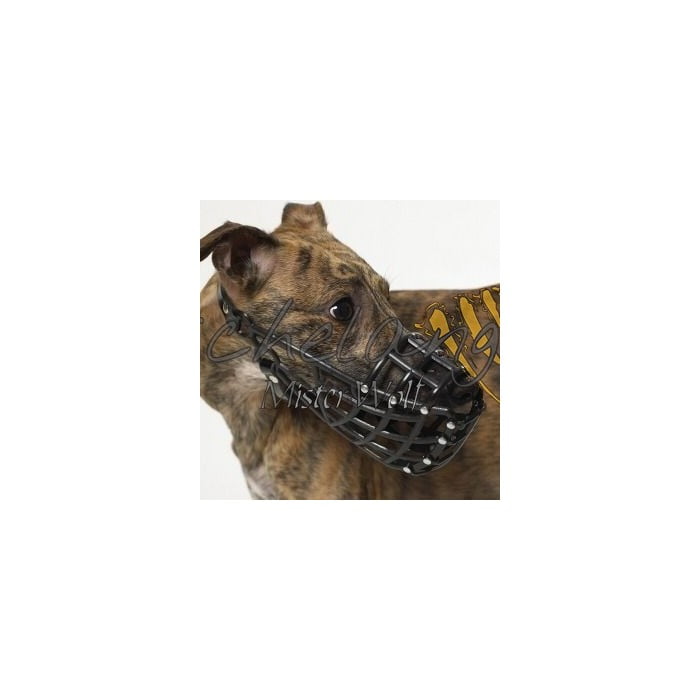 Greyhound Muzzle Uk