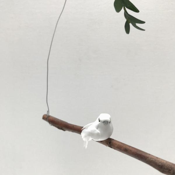Hanging Bird