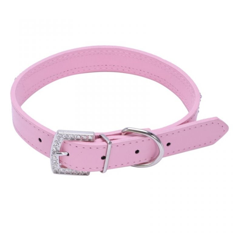 Pink Dog Accessories