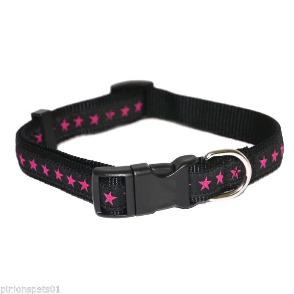 Pink Dog Collar And Lead