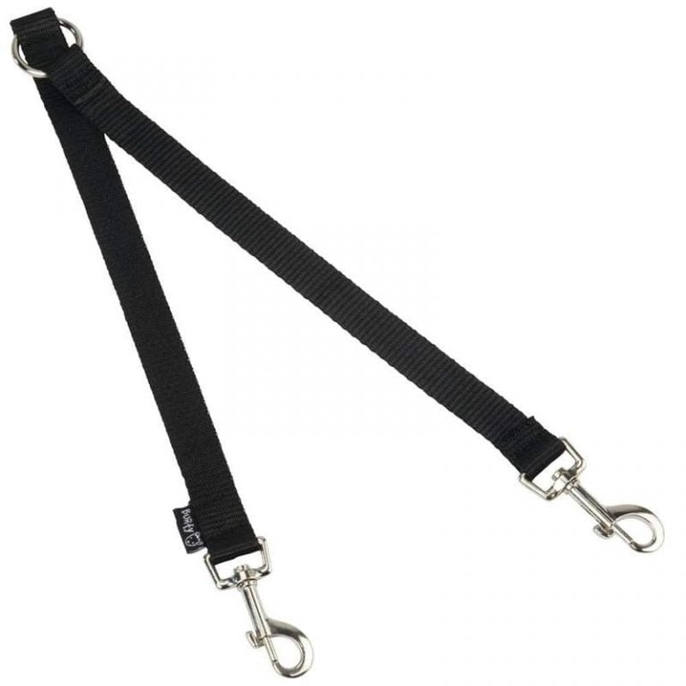 Puppy Leads And Harness