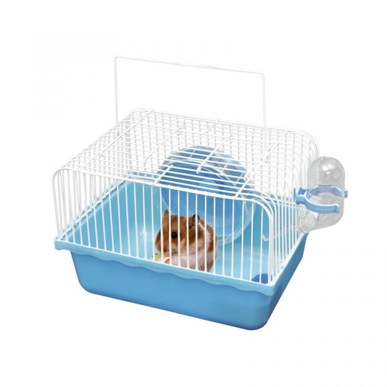 Rat Cage Accessories