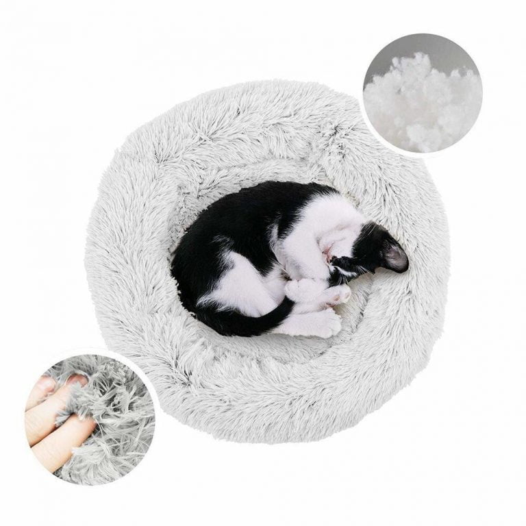 Self Heating Cat Bed