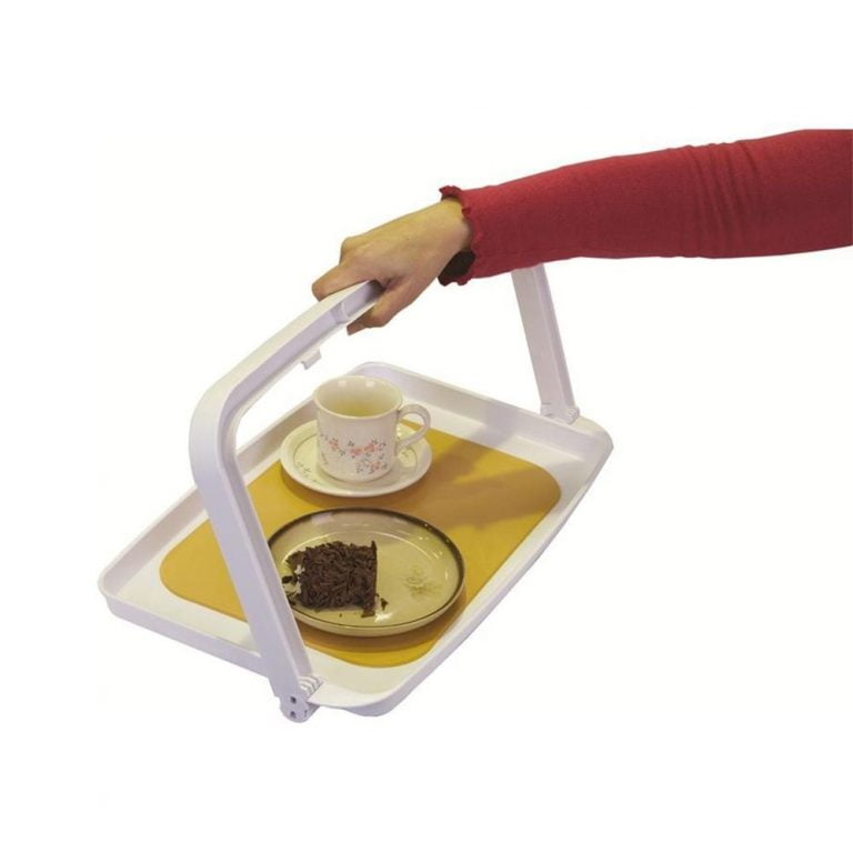 Tray With Carrying Handle