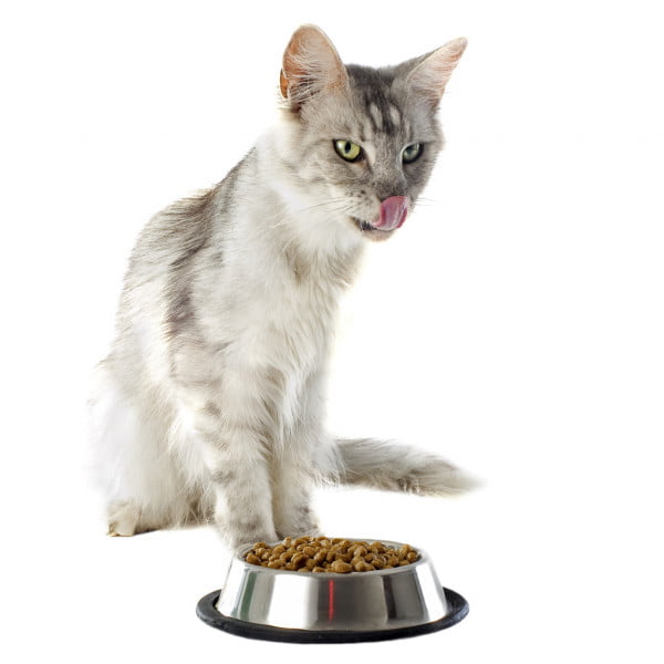 Whiskas Dry Cat Food