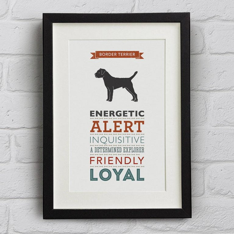 Border Terrier Personality