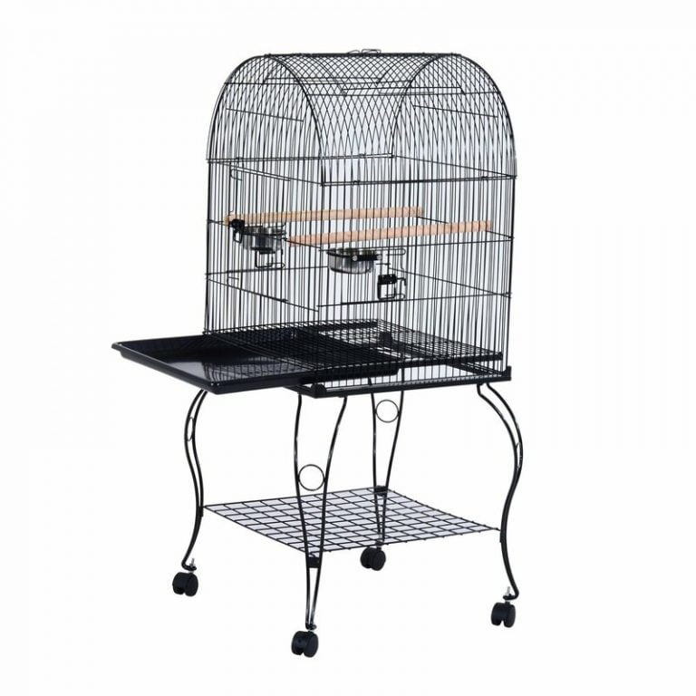 Cage Stand