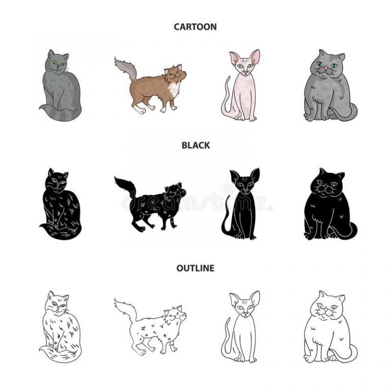 Breeds Of Cats Uk