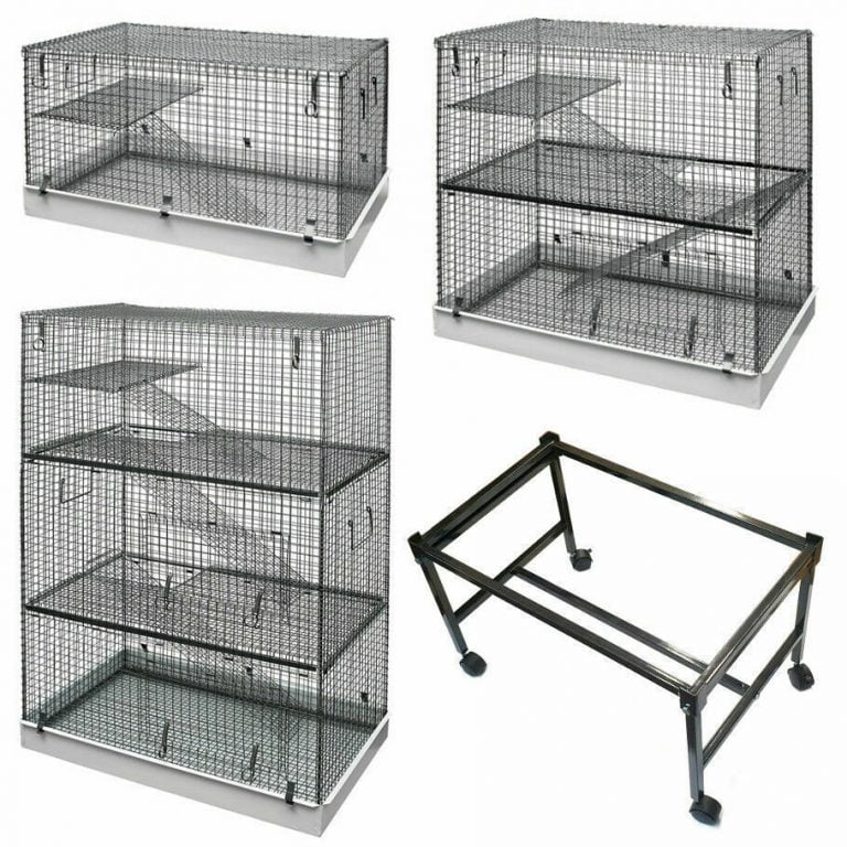 Chinchillas Cages