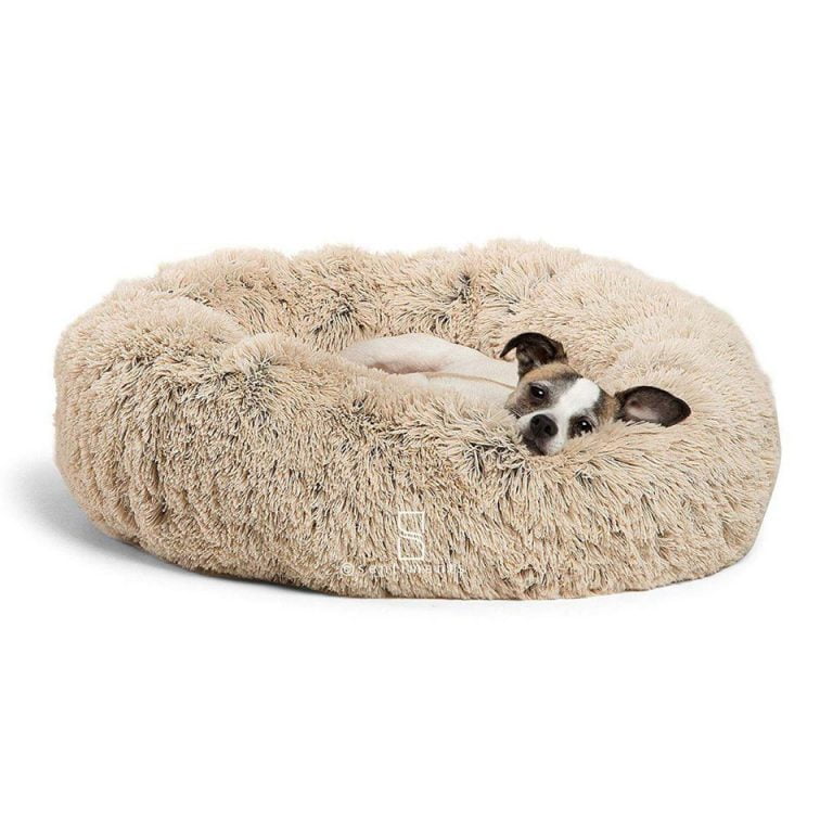 Beds For Large Dogs