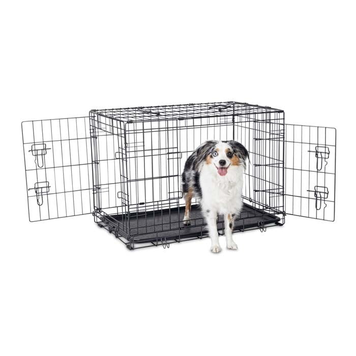 Dogs Cages