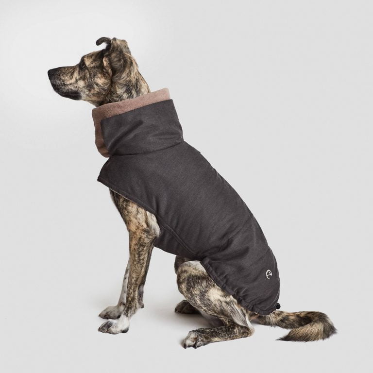 Personalised Dog Coats