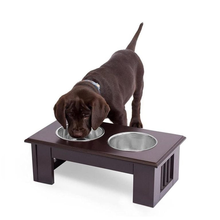 Best Dog Food For Firm Stools Uk