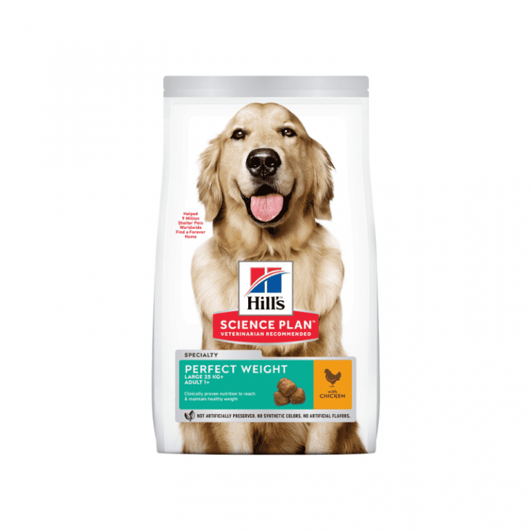 Dog Food Advert