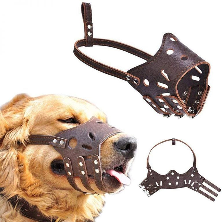 Dog Muzzles That Allow Drinking
