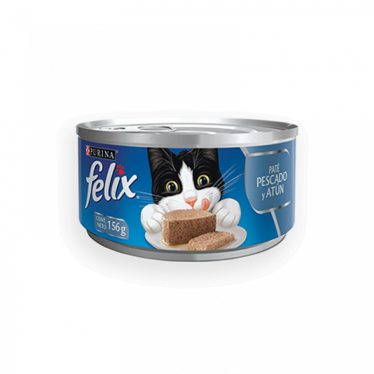 Felix Dry Cat Food