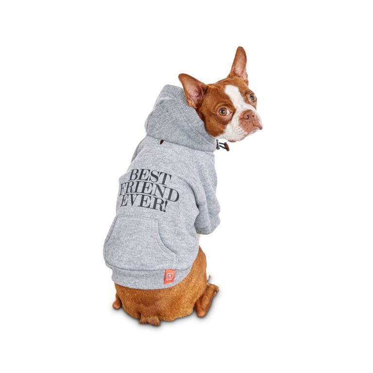 Hoodies For Dogs
