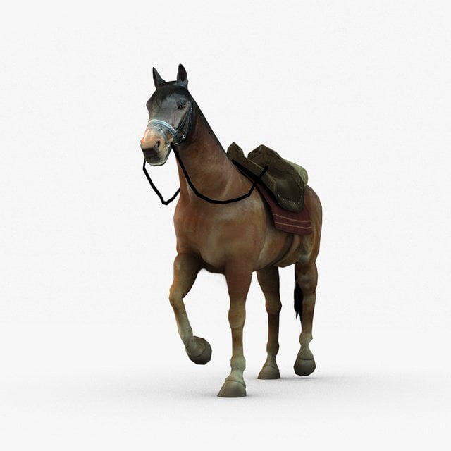 Horse Games For Pc