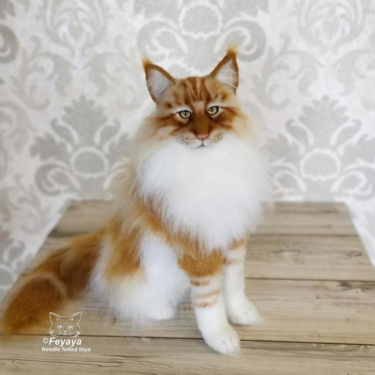 How Much Is A Maine Coon