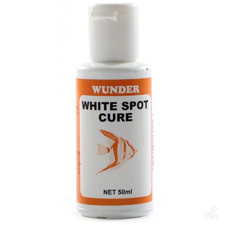 How To Cure White Spot