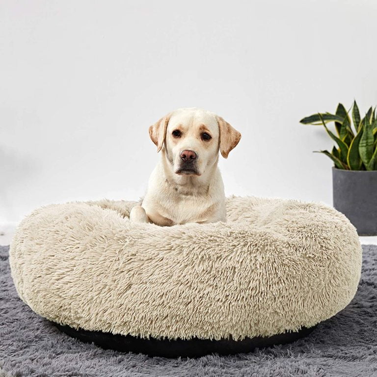 Large Washable Dog Beds