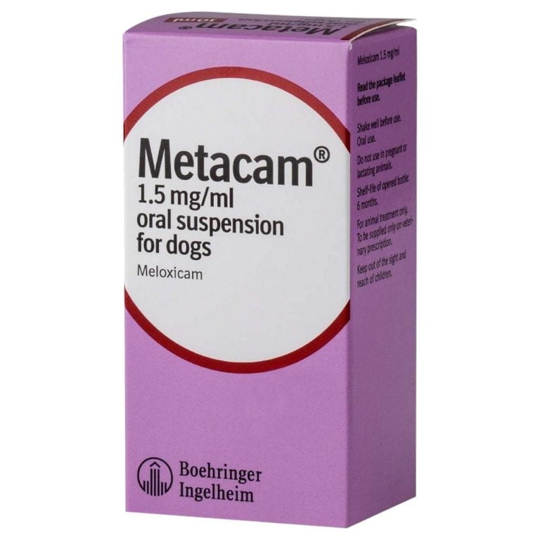 Metacam Side Effects
