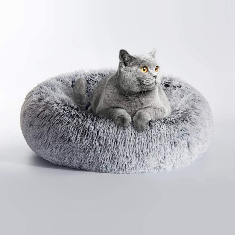 Pet Beds For Cats