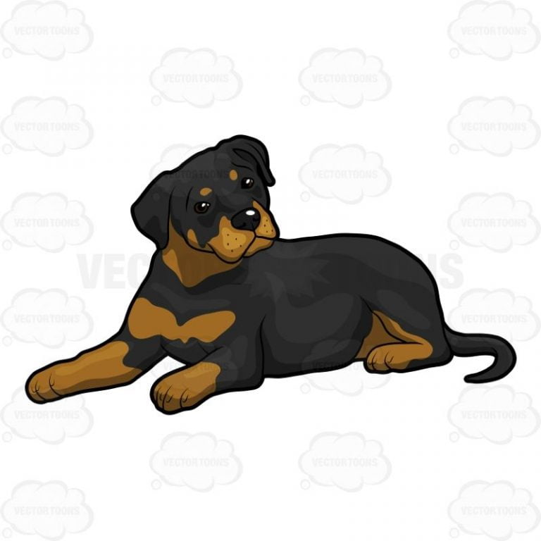 Are Rottweilers Safe
