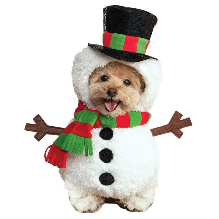 Santa Outfit For Dogs