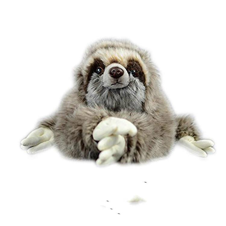 Sloth As A Pet Uk